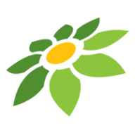 PNG BORDER ML